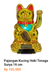 Kucing Hoki Surya (2)