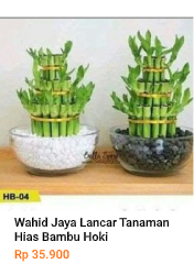 Wahid Jaya Bambu