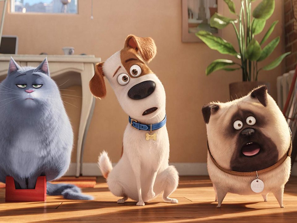 Secret life of pets