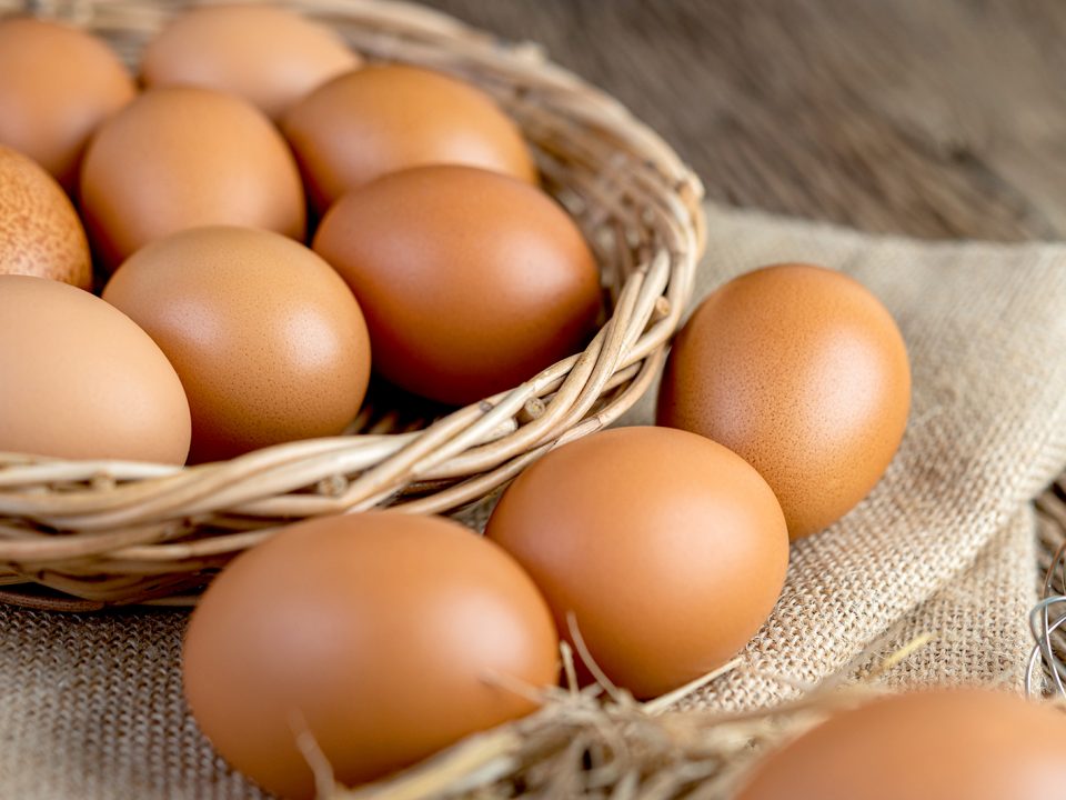 Telur makanan saat trimester pertama