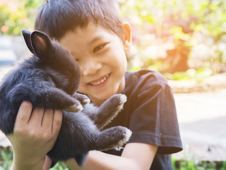 Rasa sayang anak pada hewan