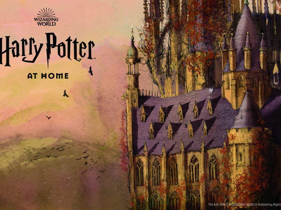 harry potter at home