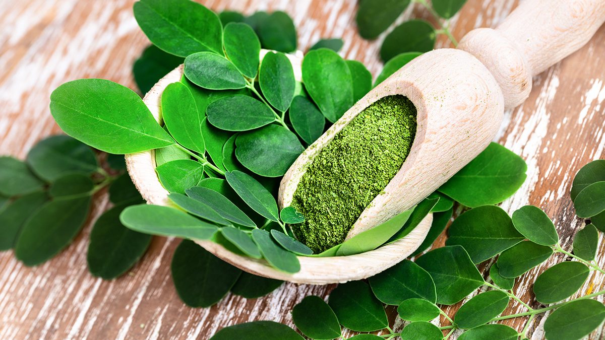 Manfaat daun kelor