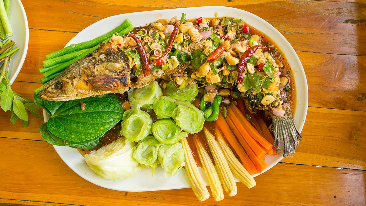 manfaat ikan gabus