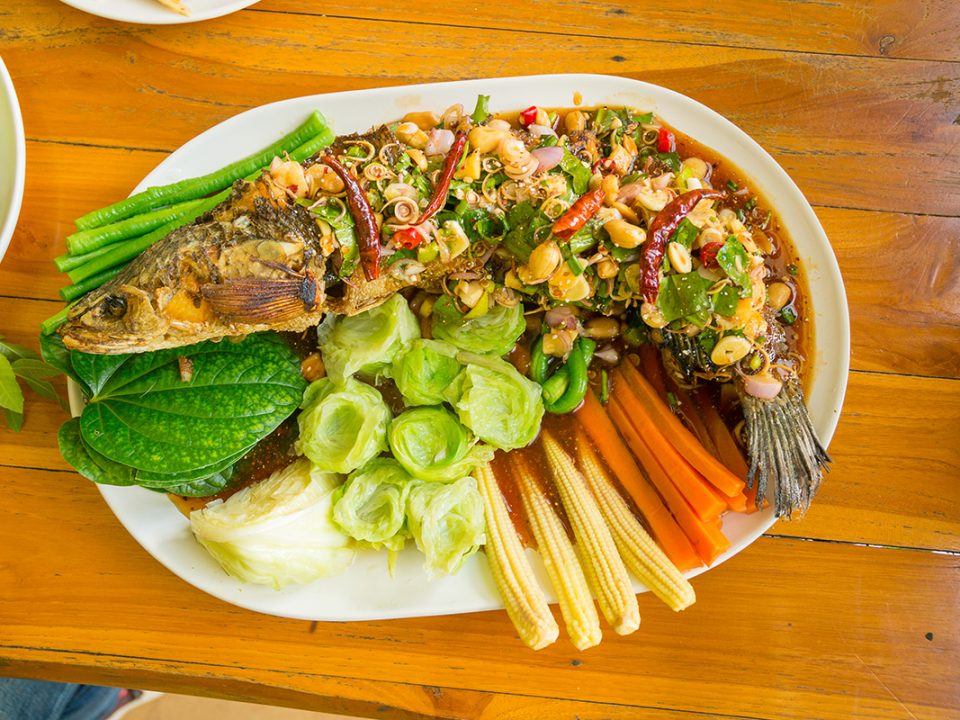 manfaat ikan gabus