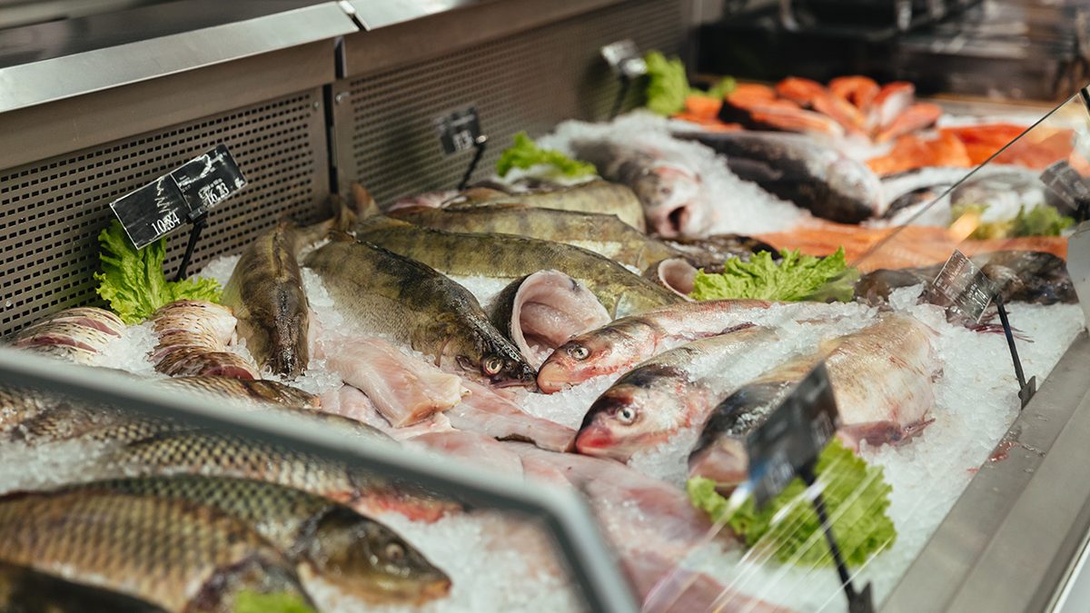cara menentukan kesegaran ikan