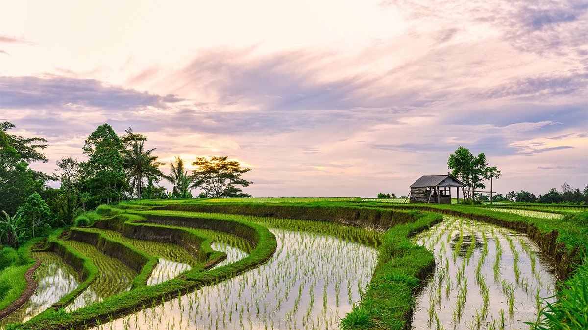 subak