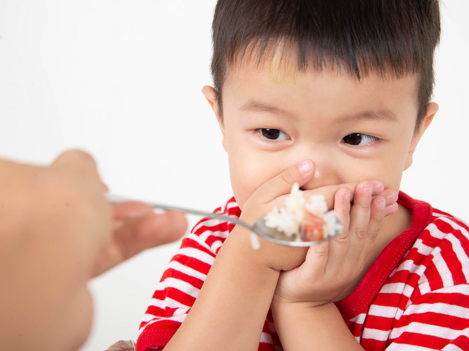 cara menghadapi anak picky eater