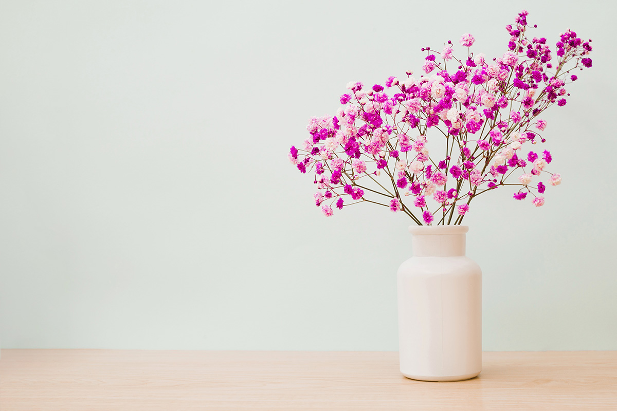Baby breath untuk meja kerja