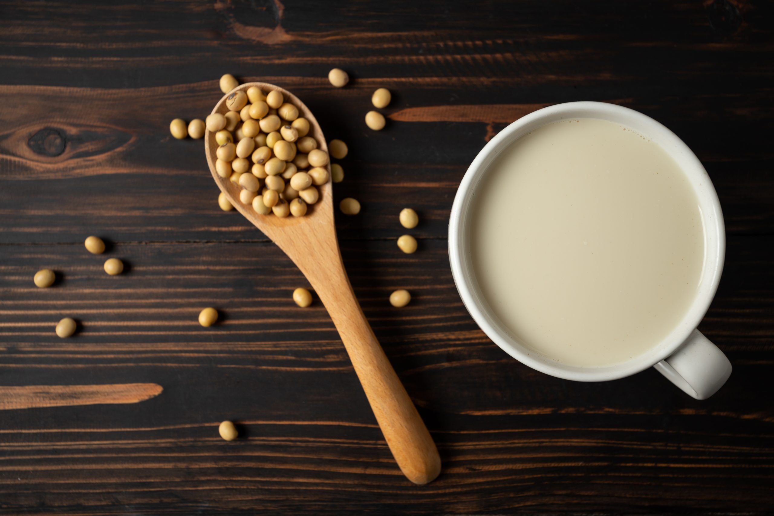 Kacang Kedelai Omega 3