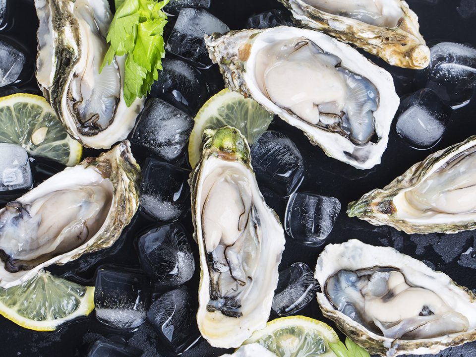 makanan yang mengandung omega 3