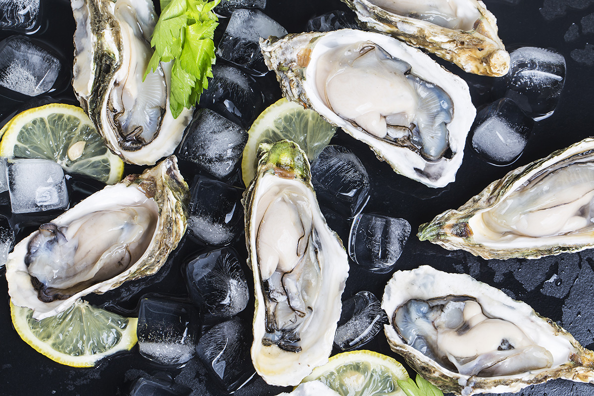makanan yang mengandung omega 3