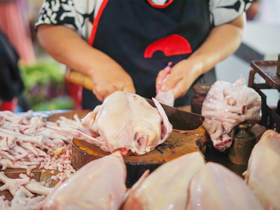 ayam segar