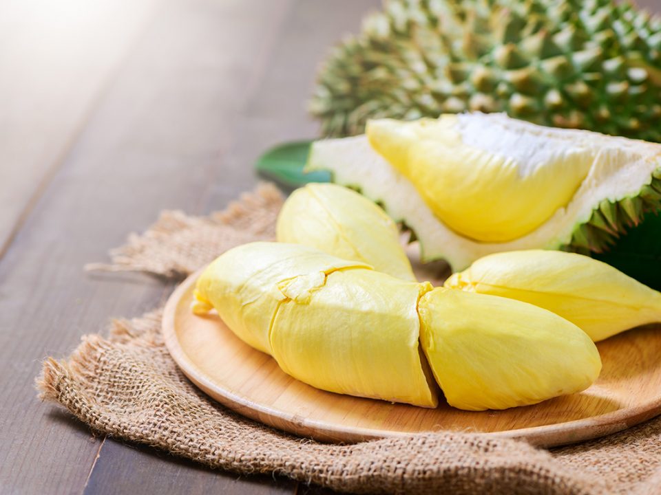cara memilih durian