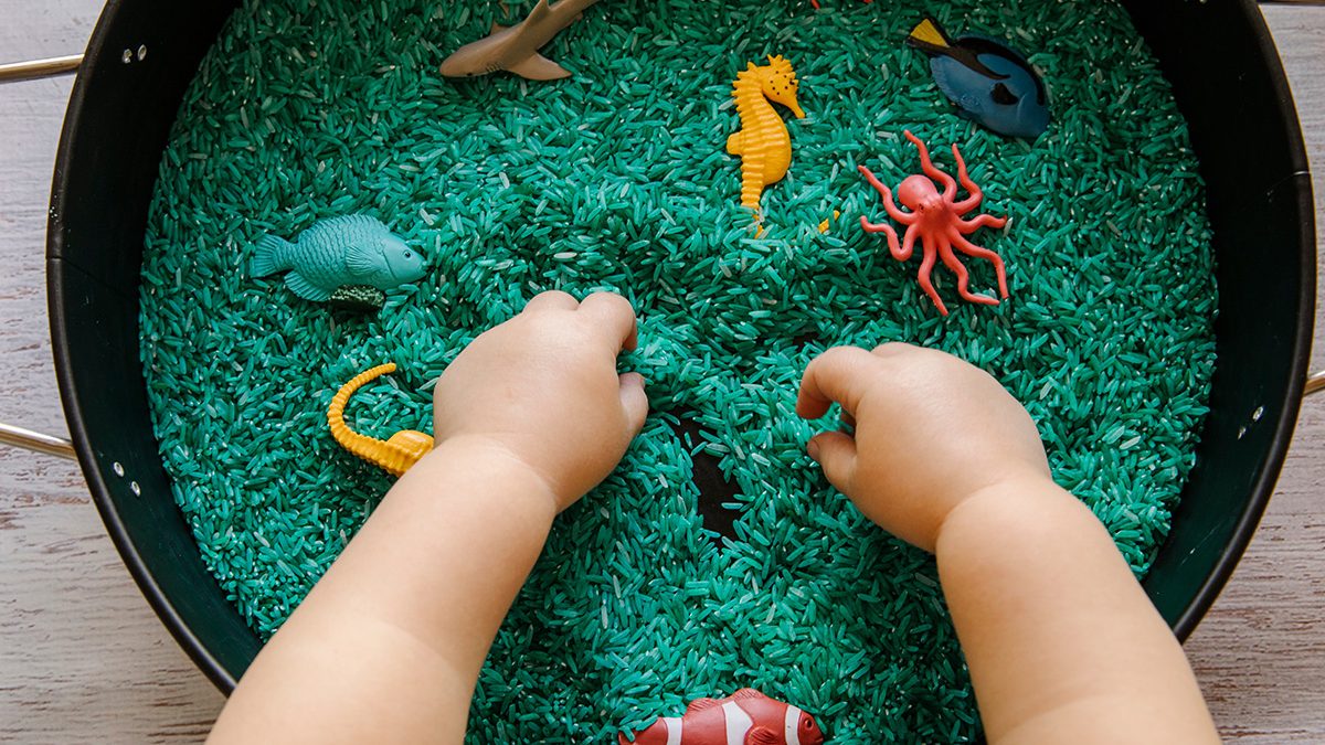 permainan sensori anak
