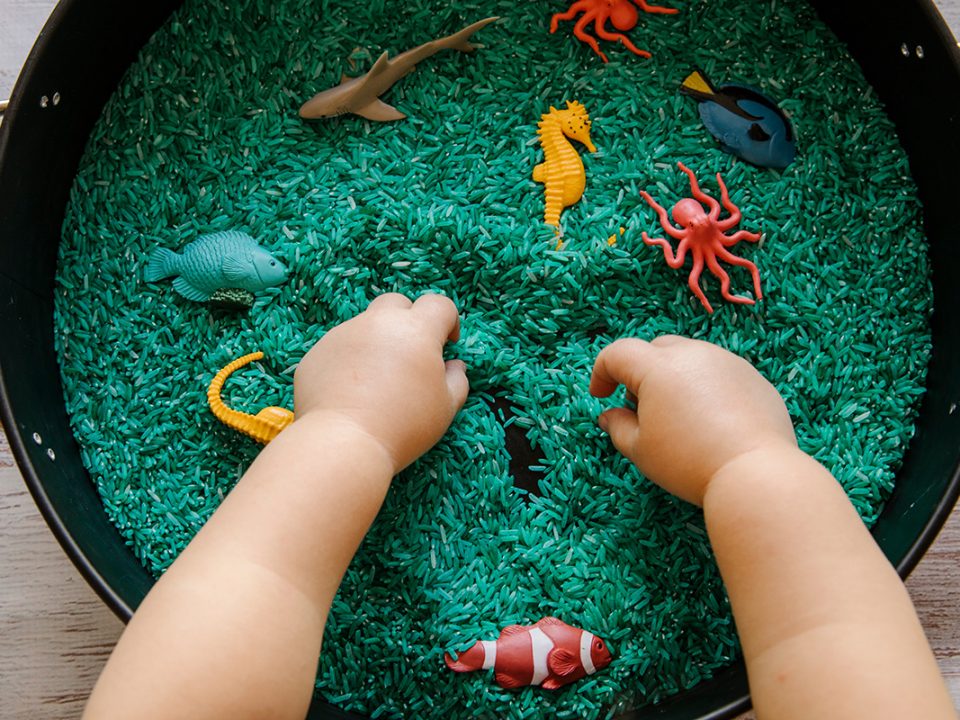 permainan sensori anak