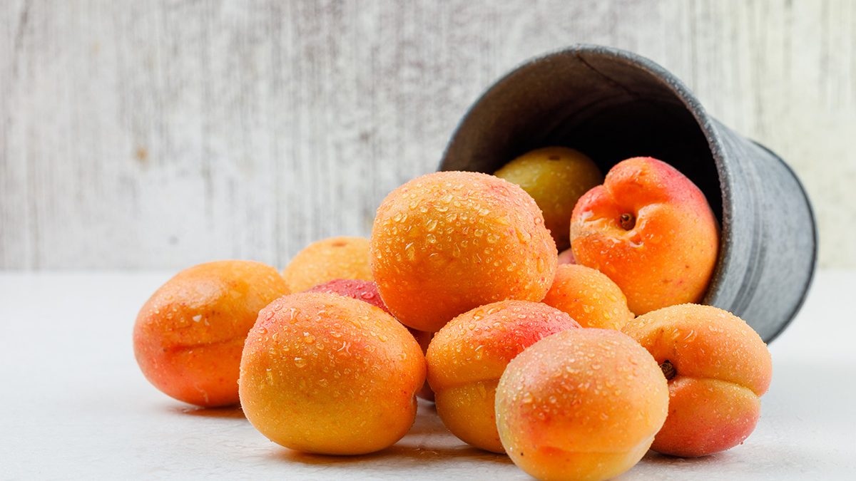 buah sumber vitamin E