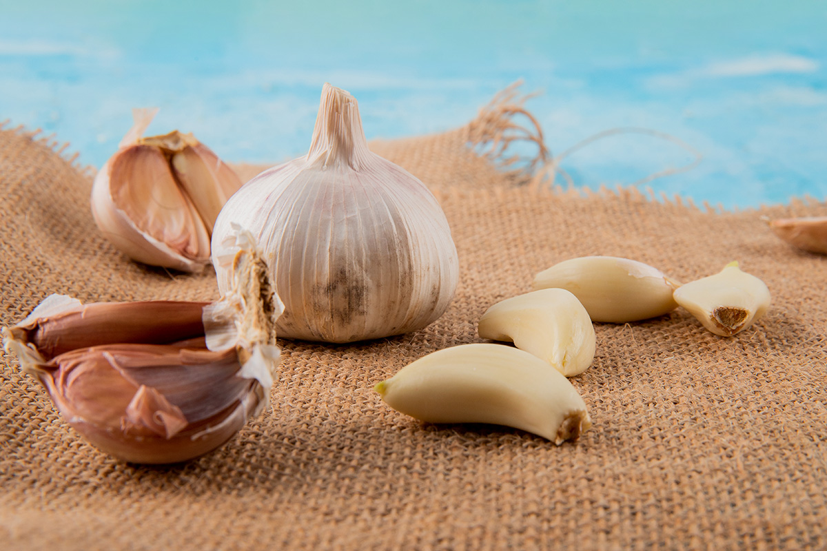 Bawang putih makanan meningkatkan sperma