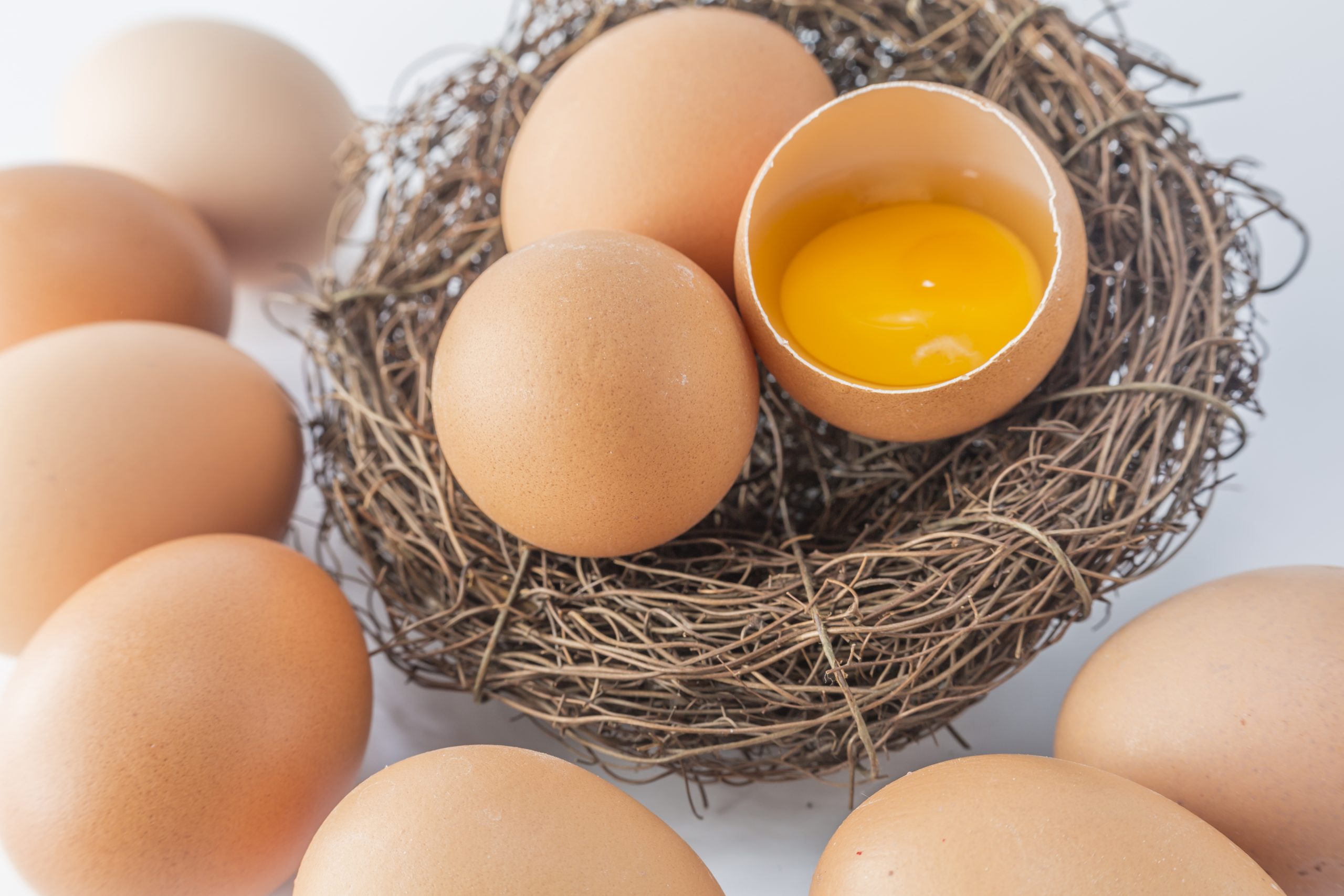 Telur hilangkan luka