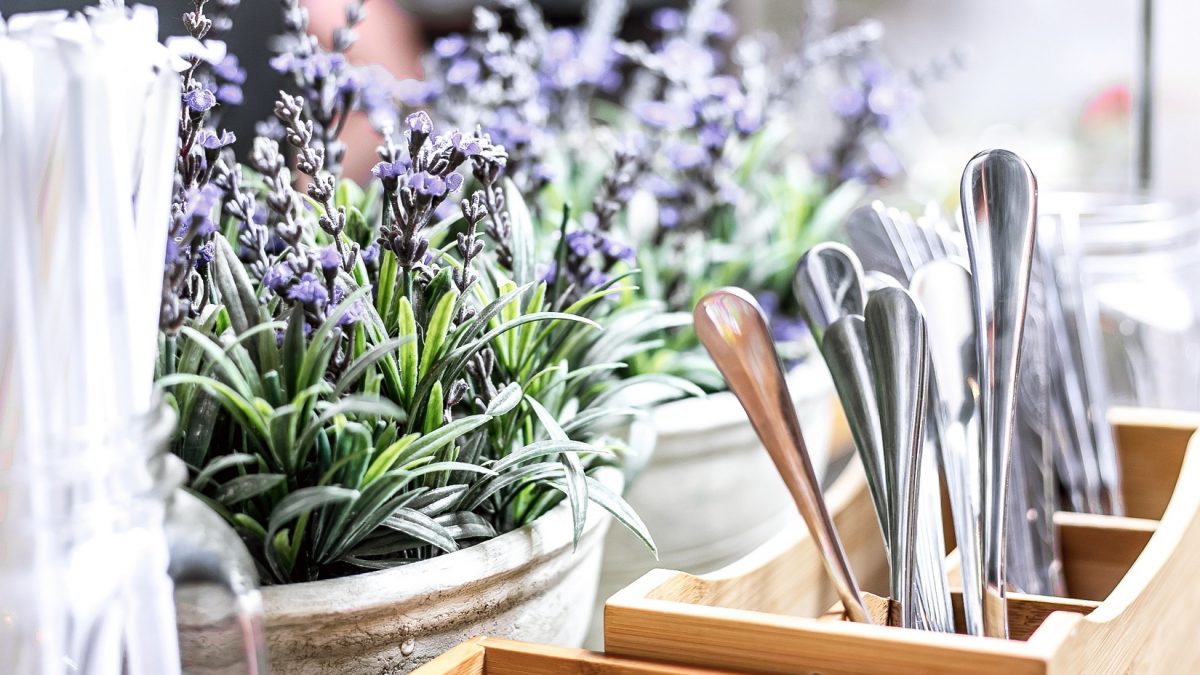 Lavender - Cara mengusir lalat