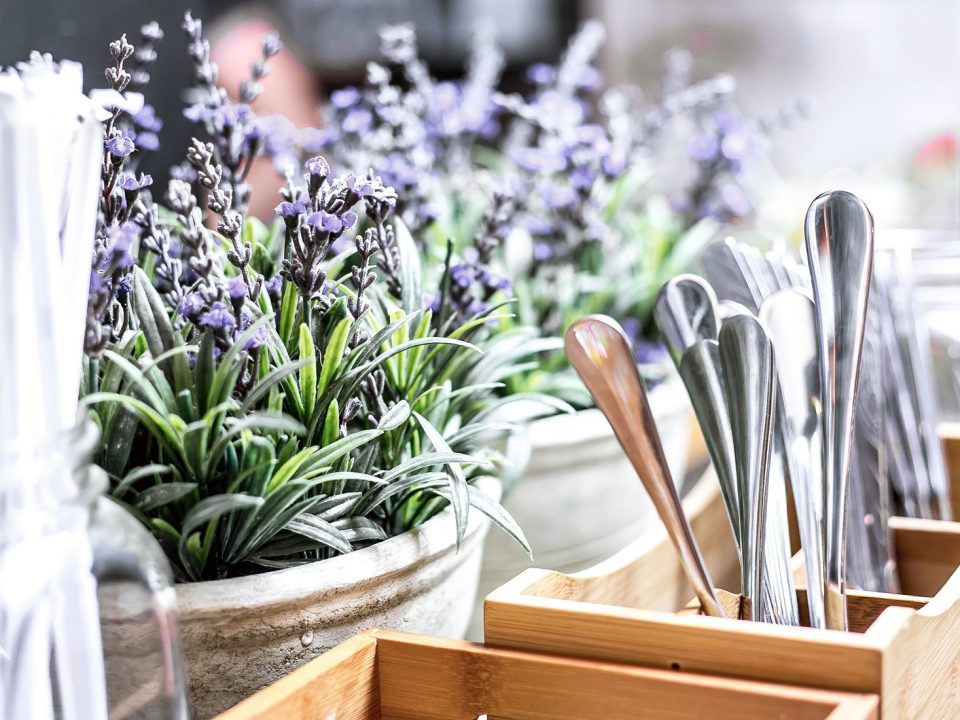 Lavender - Cara mengusir lalat
