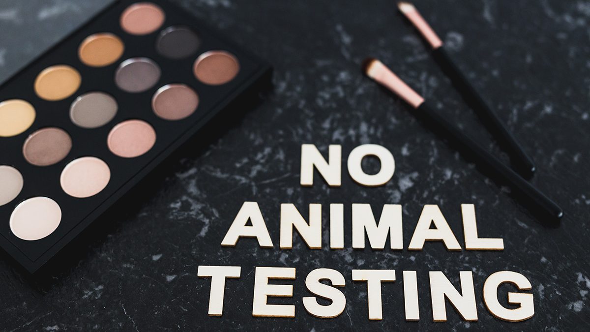 no animal testing