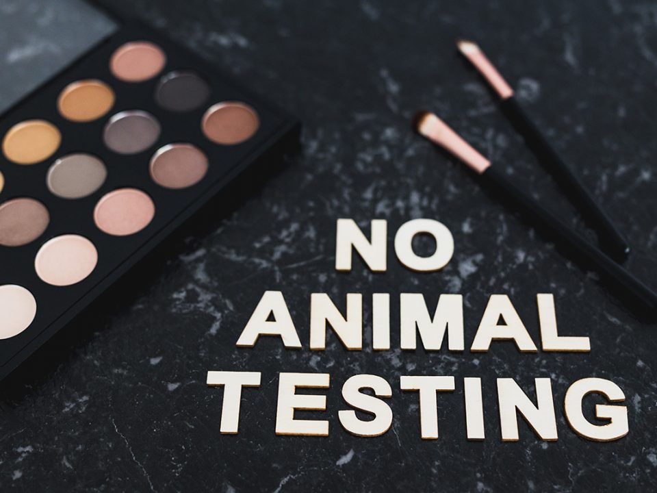 no animal testing