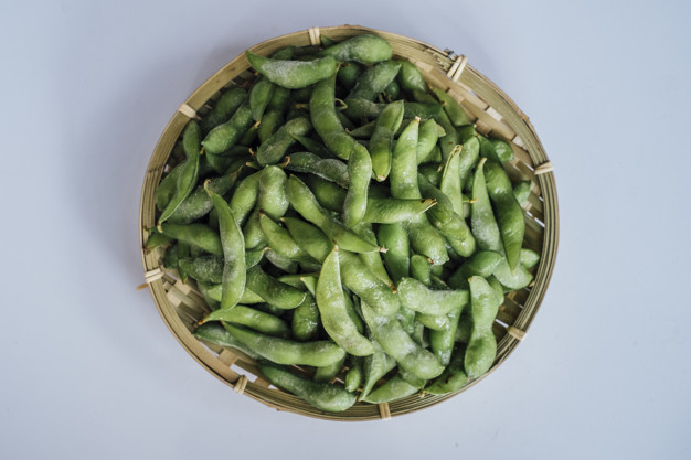 makanan kaya protein