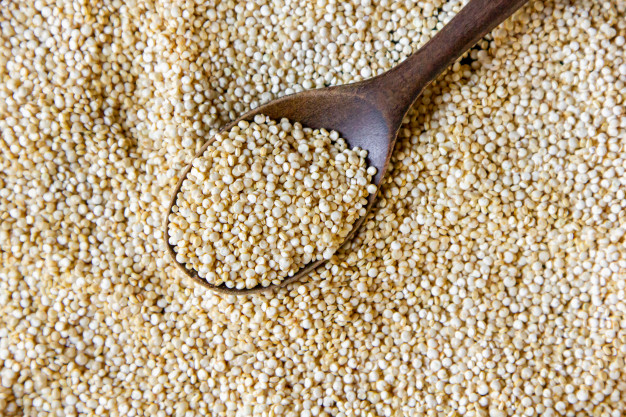 makanan kaya protein