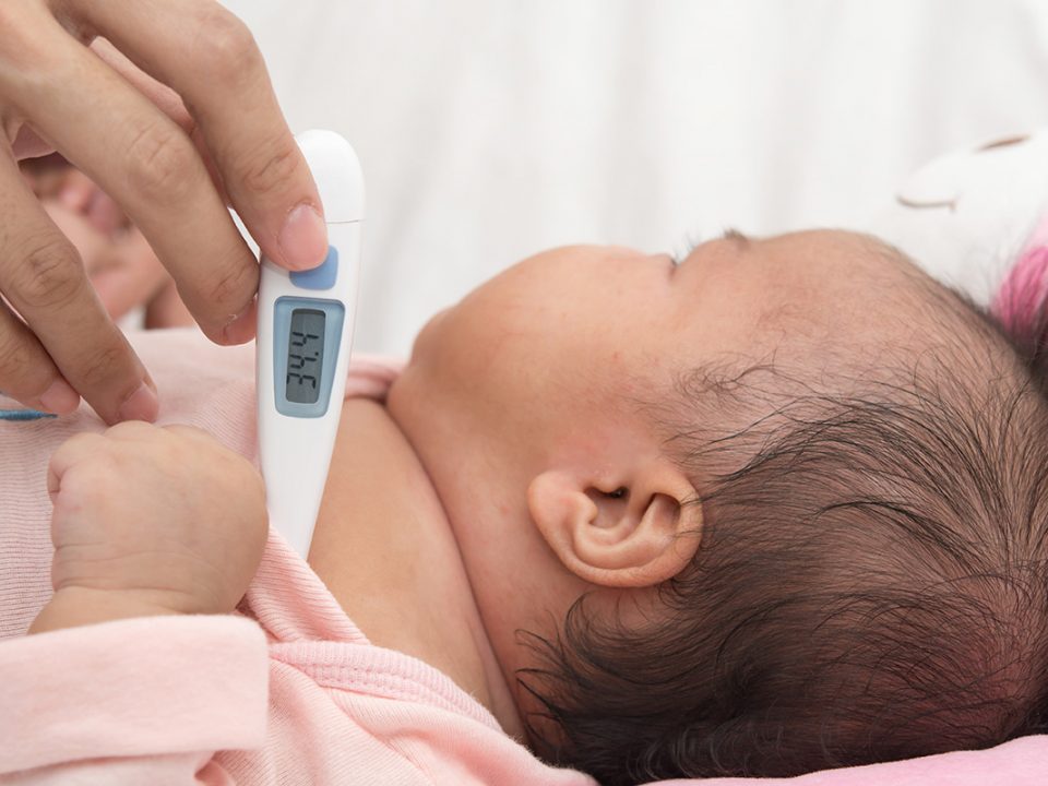 tips memilih termometer