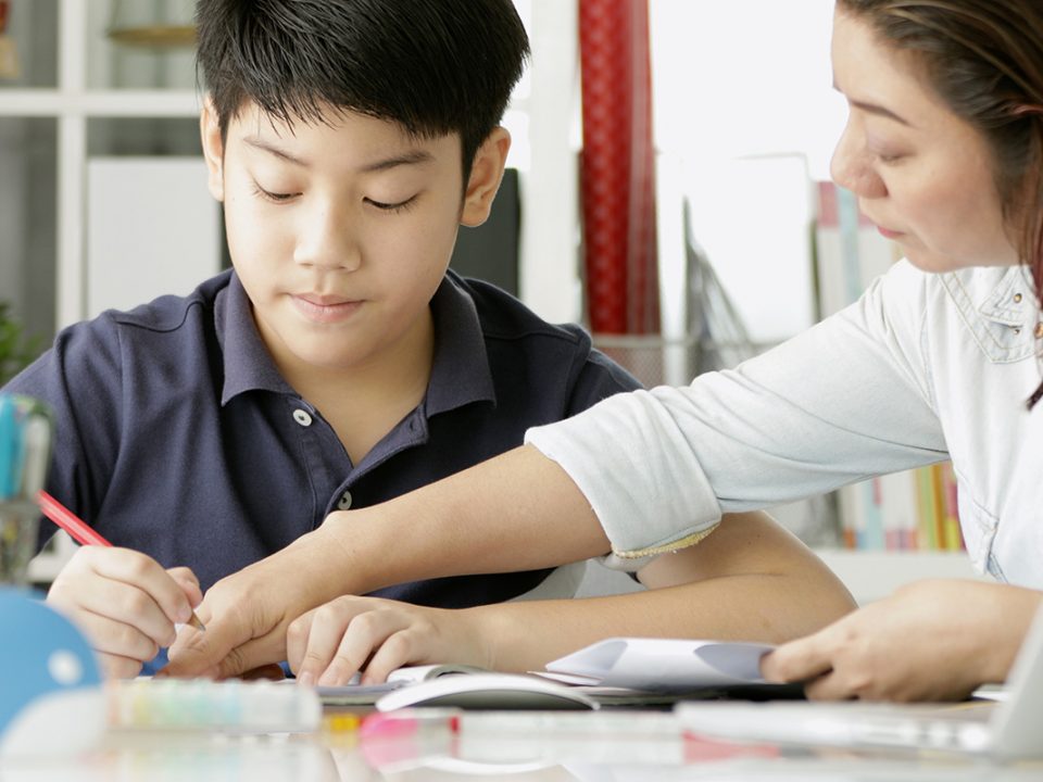 Kelebihan kekurangan homeschooling