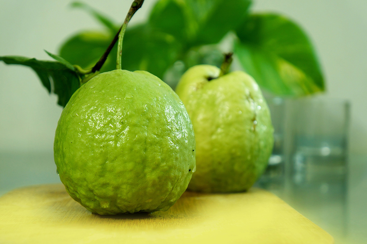 Jambu biji buah tinggi vitamin C
