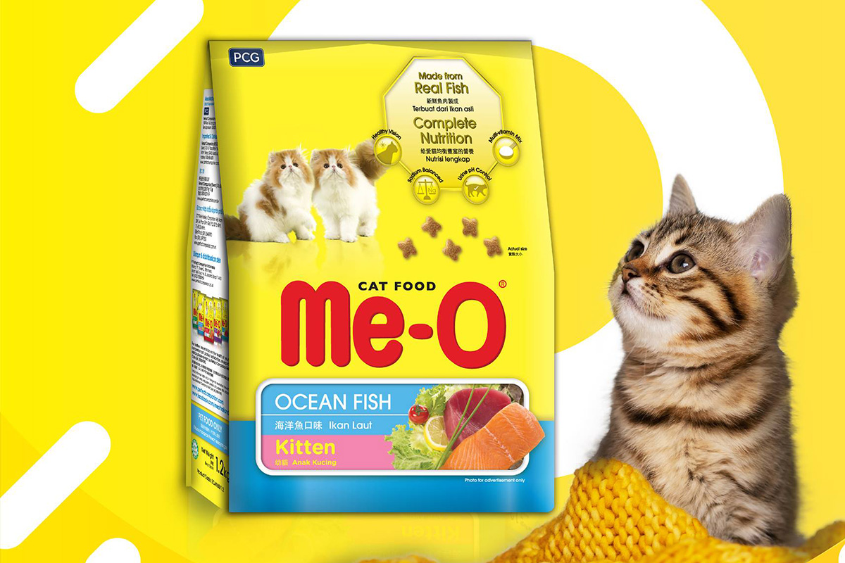 makanan kucing terbaik