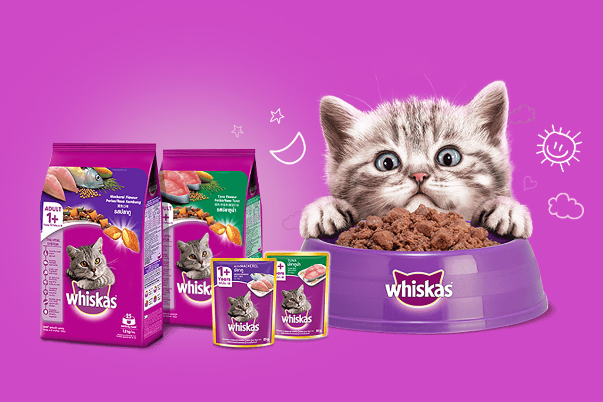 makanan kucing terbaik