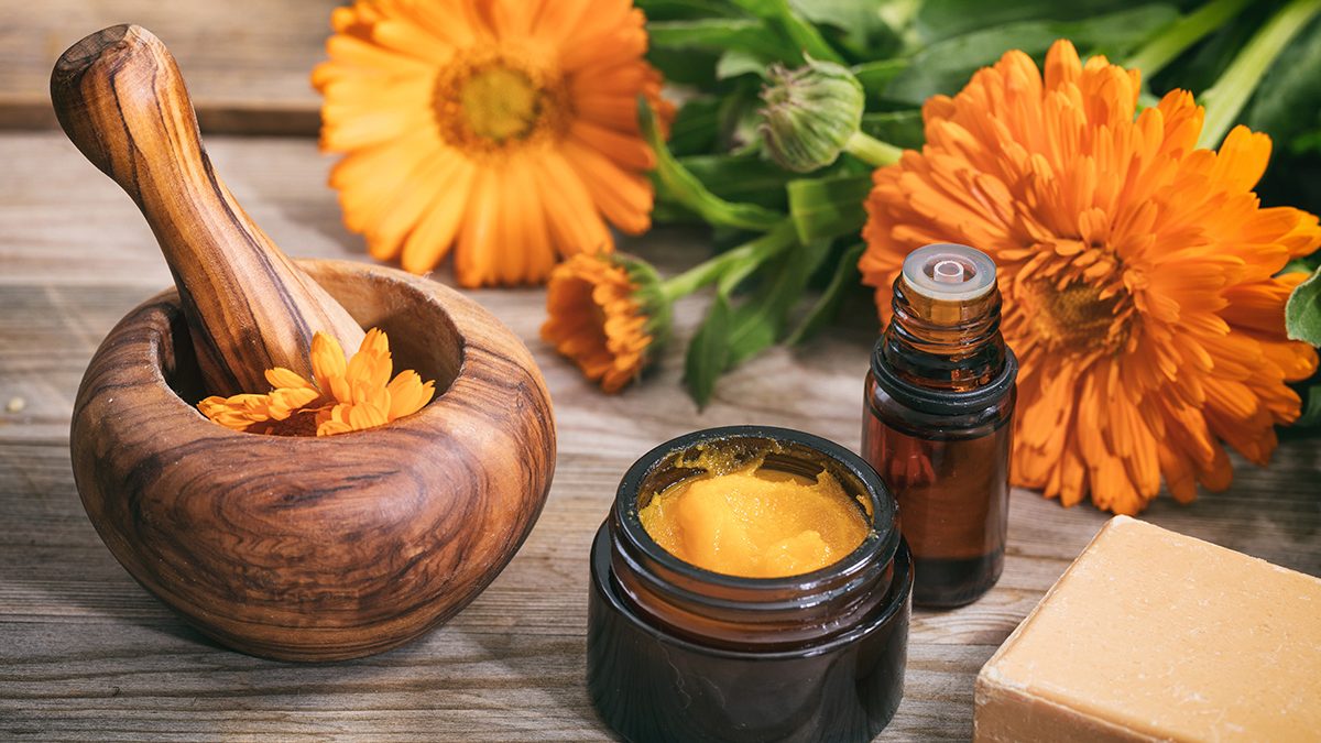 Manfaat Calendula Untuk Wajah