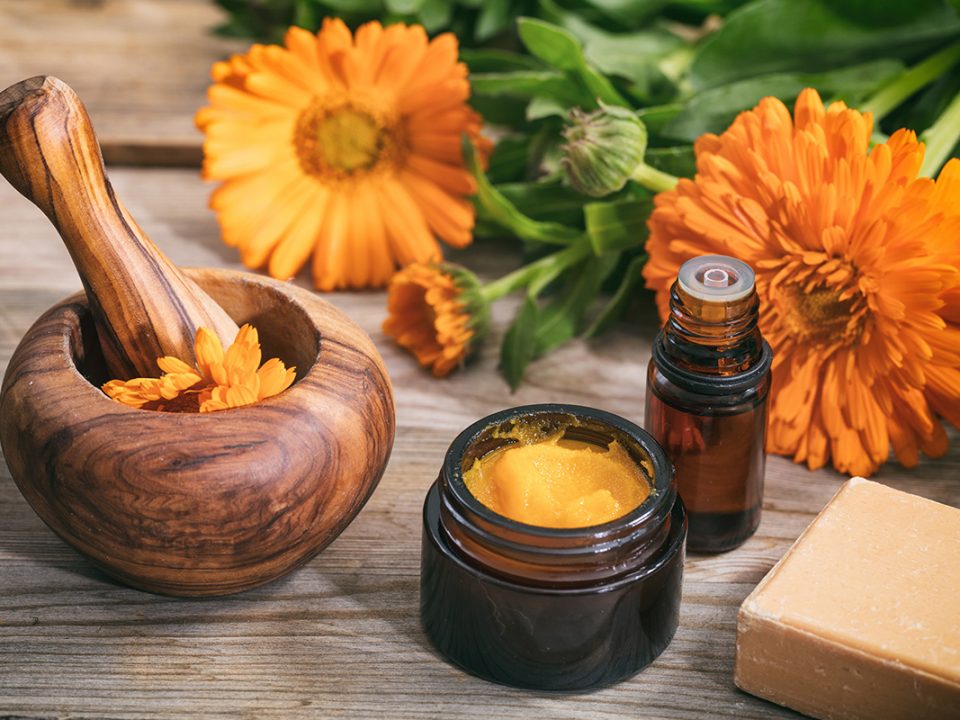 Manfaat Calendula Untuk Wajah