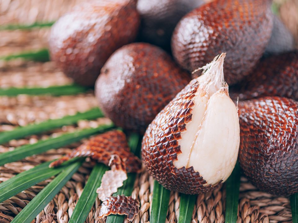 Manfaat Salak