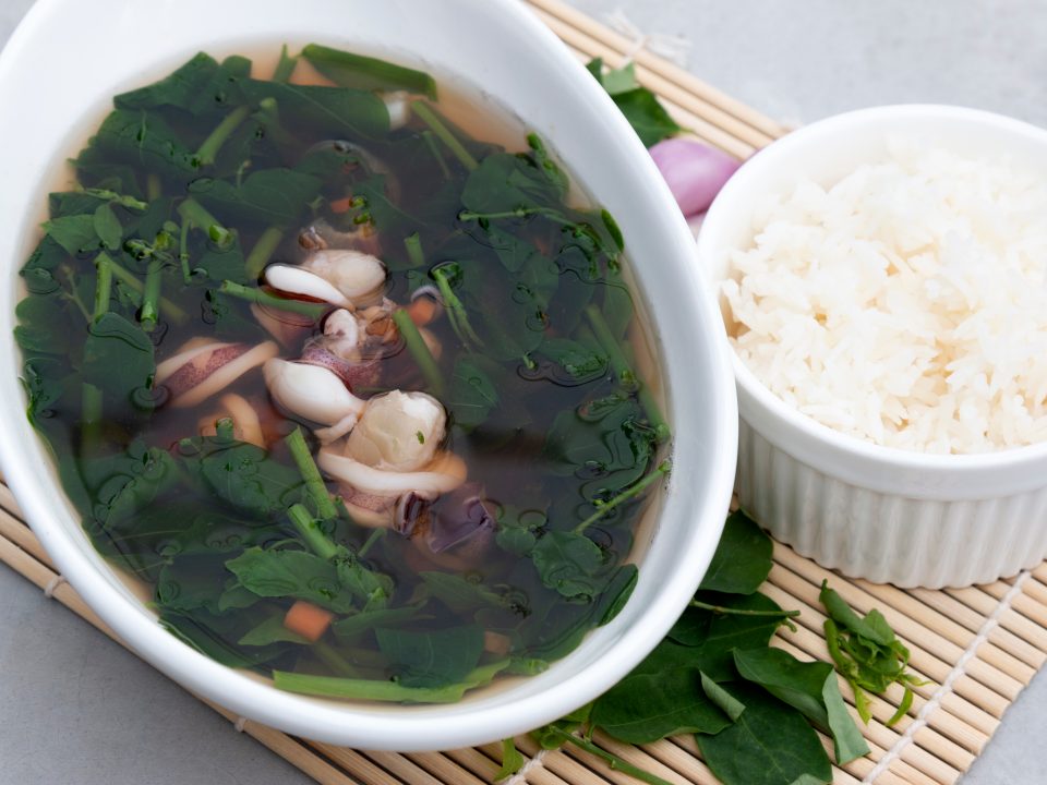 Manfaat daun katuk