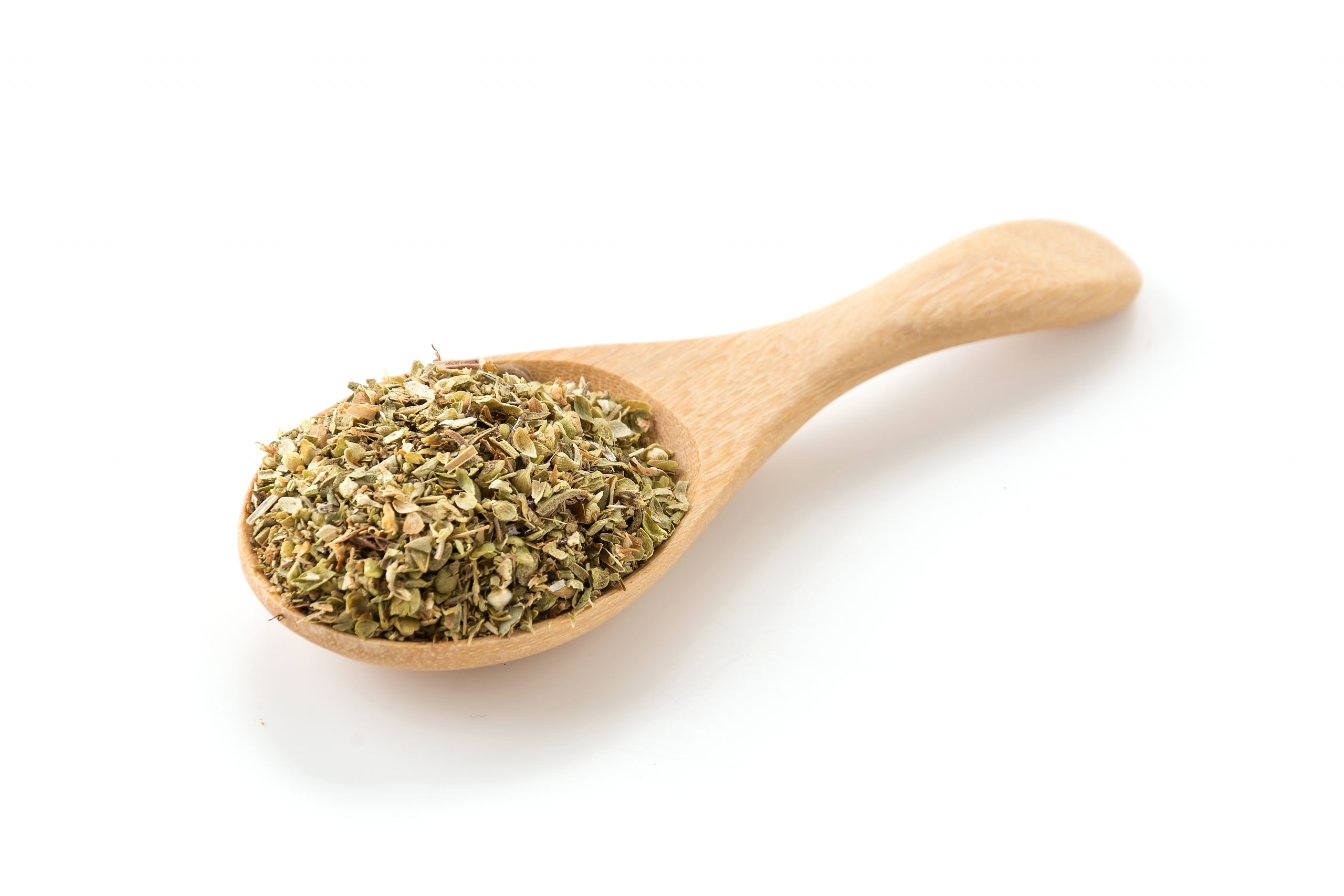 daun oregano