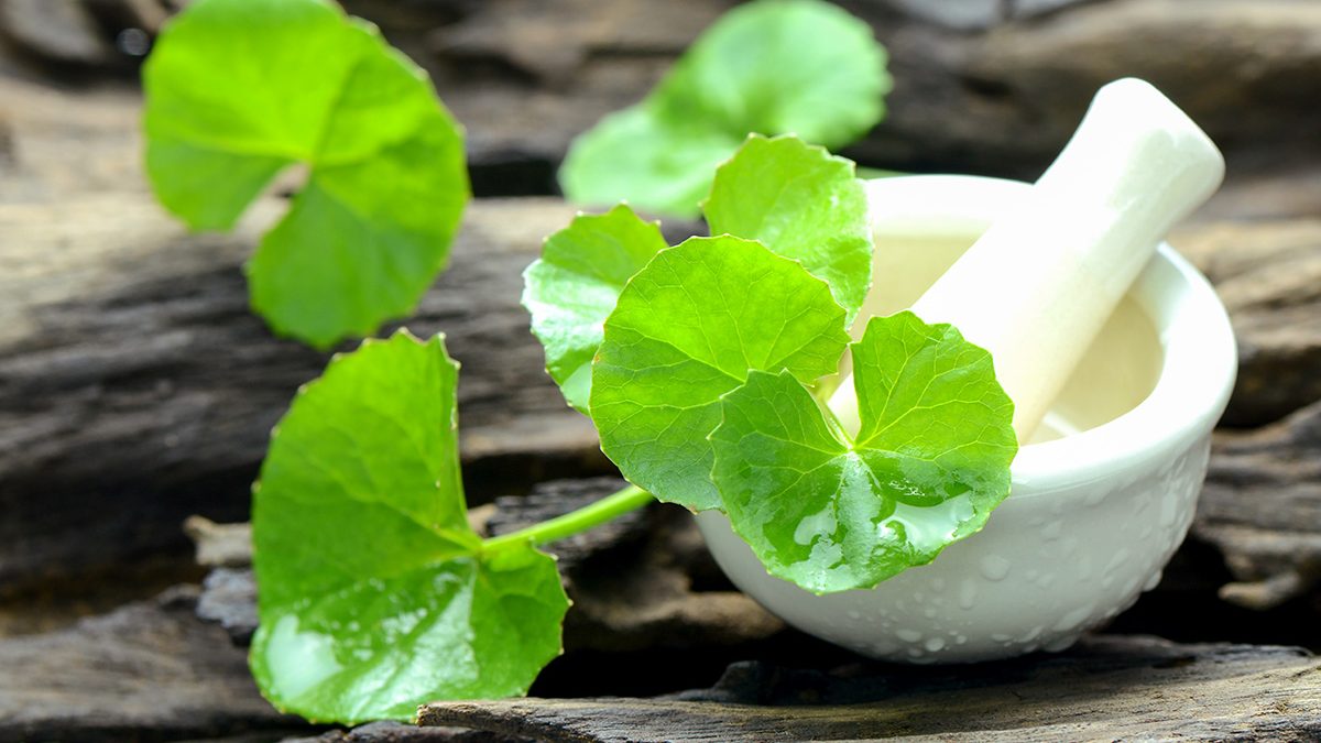 Centella Asiatica