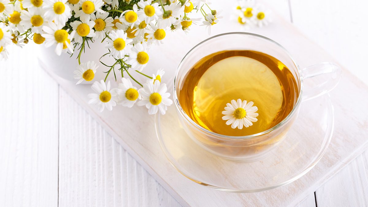 Teh chamomile obat sakit tenggorokan