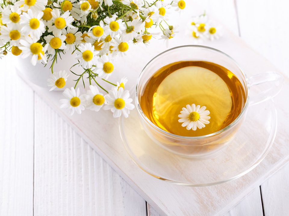 Teh chamomile obat sakit tenggorokan