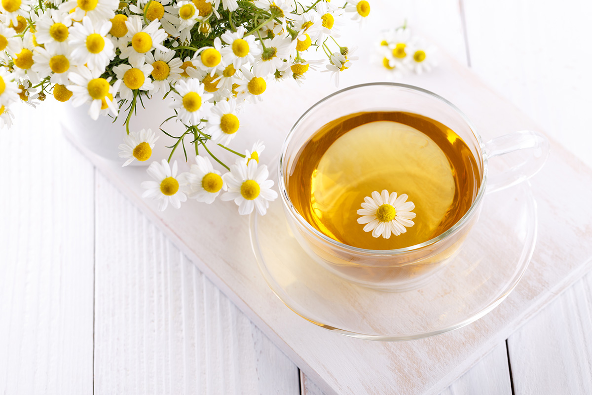 Teh chamomile sebagai tenggorokan gatal