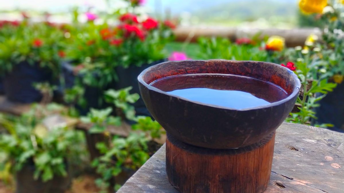 Kawa Daun