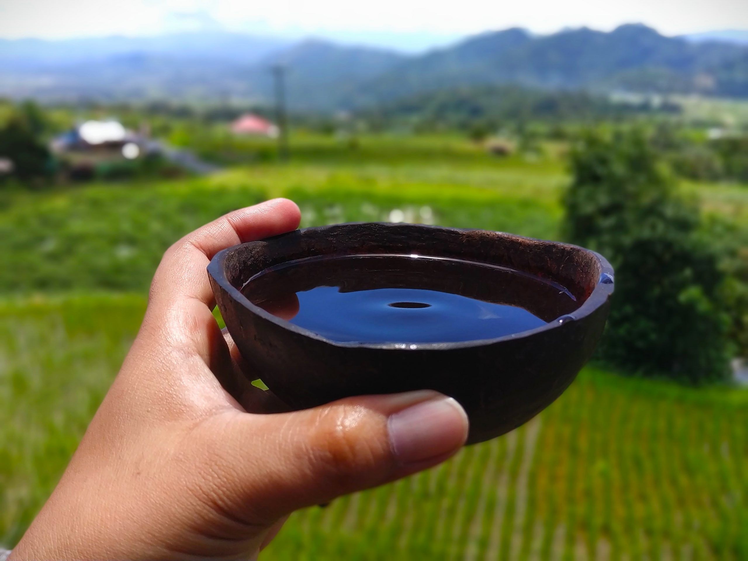 Kawa Daun Minang