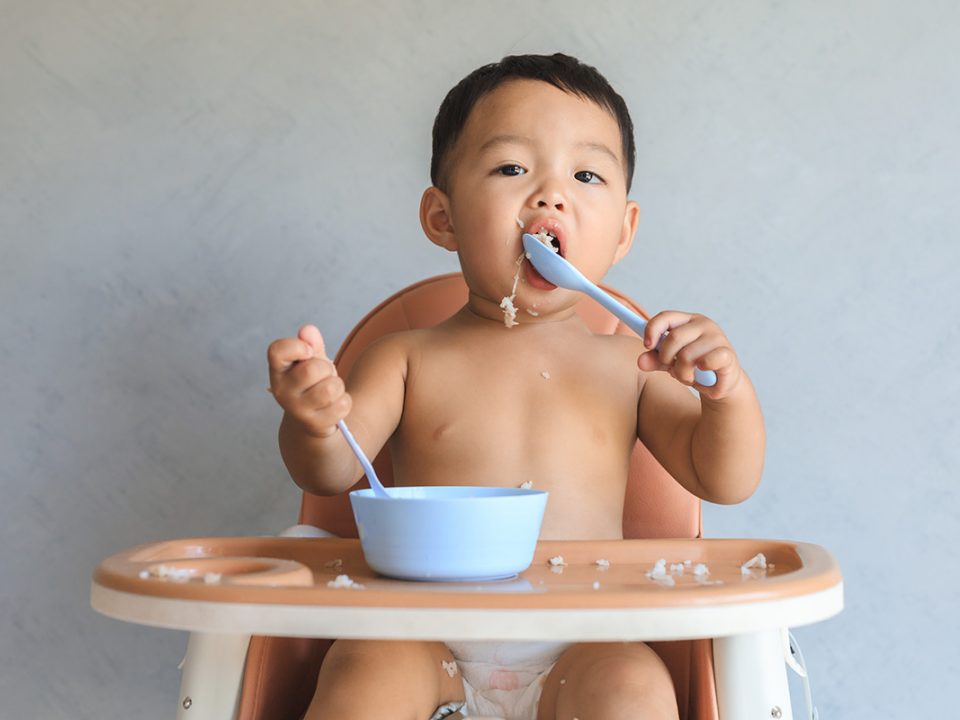 Makanan Bayi Gemuk