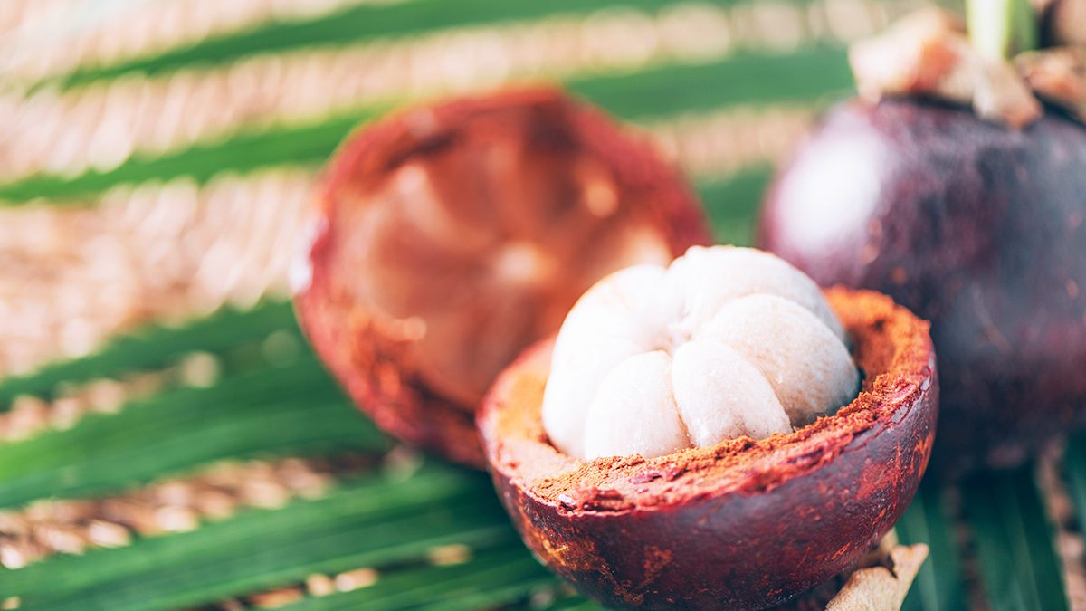 Manfaat Kulit Manggis