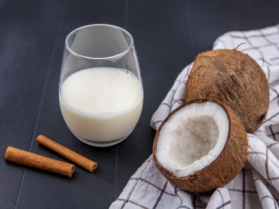 Pengganti Santan