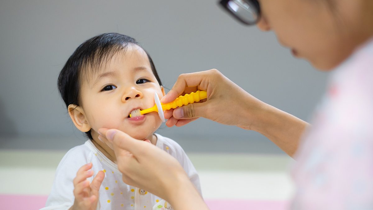 Anak sikat gigi