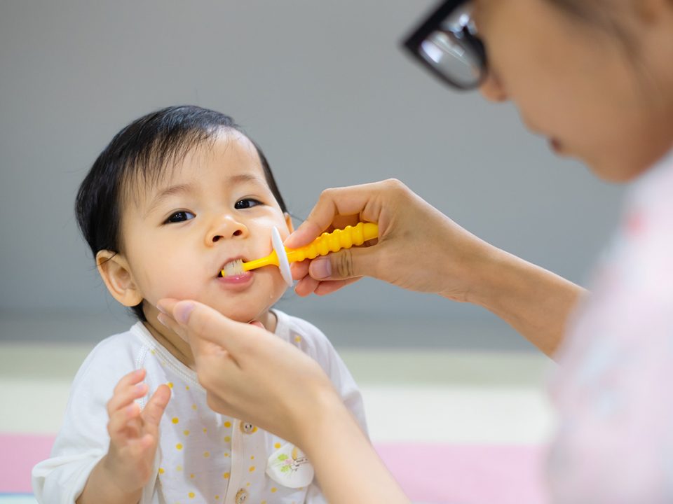 Anak sikat gigi